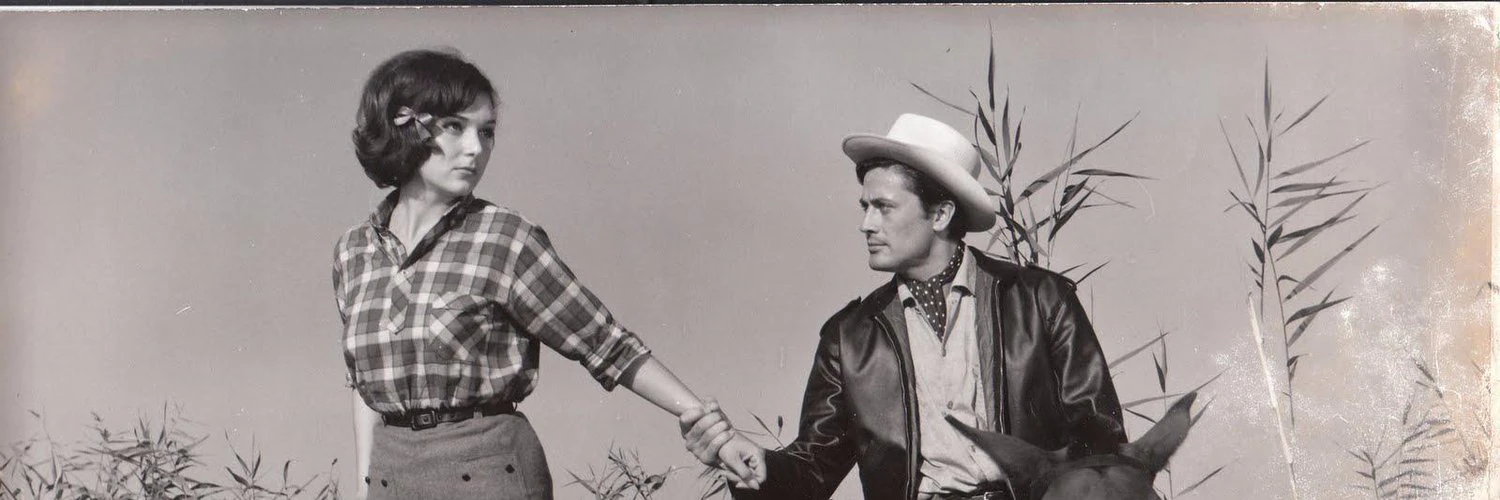 Huseyin Emanet cover