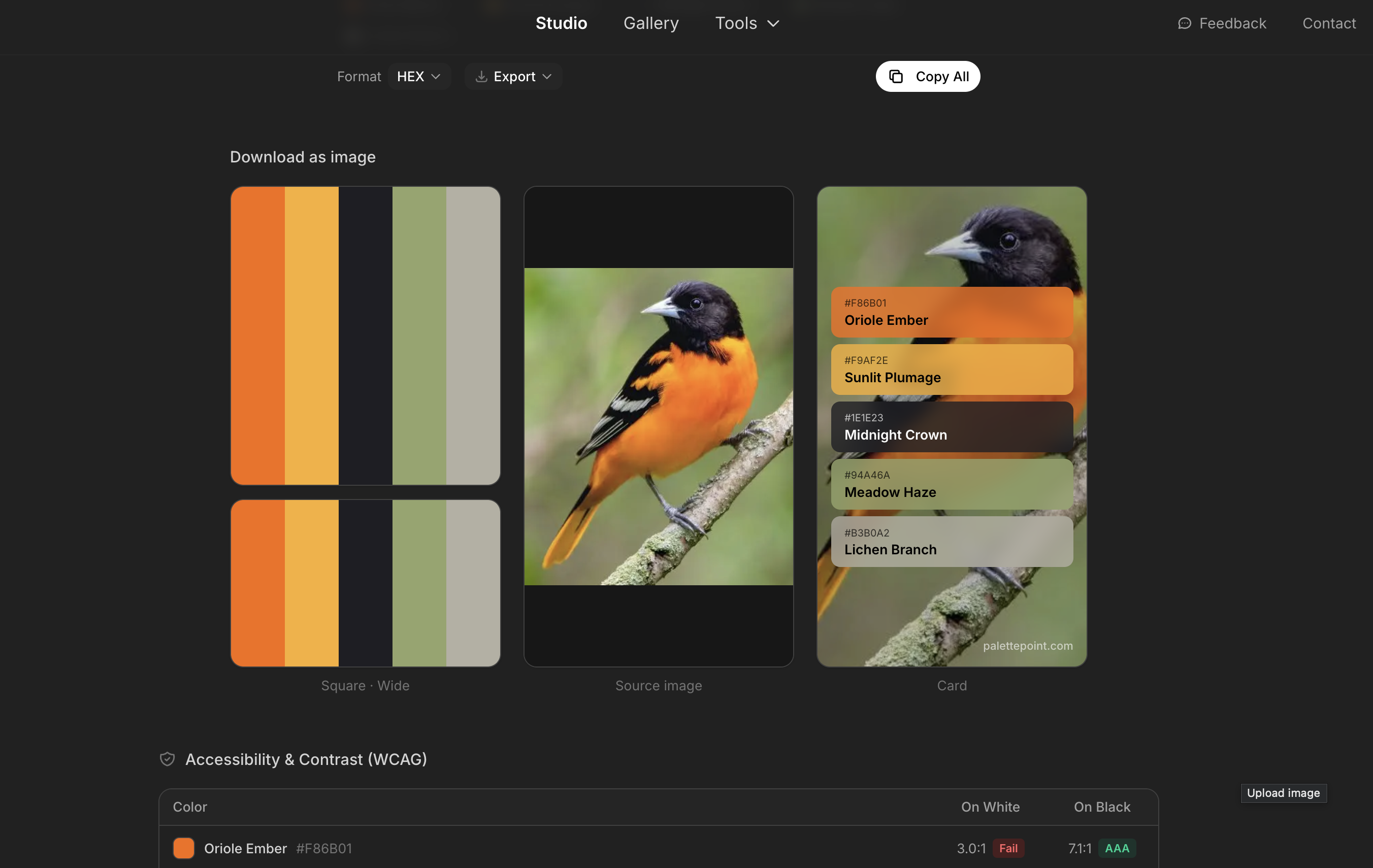 PalettePoint.com gallery image
