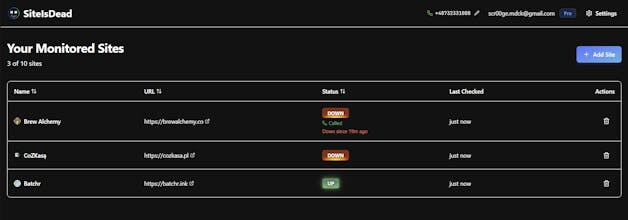 SiteIsDead.dev gallery image