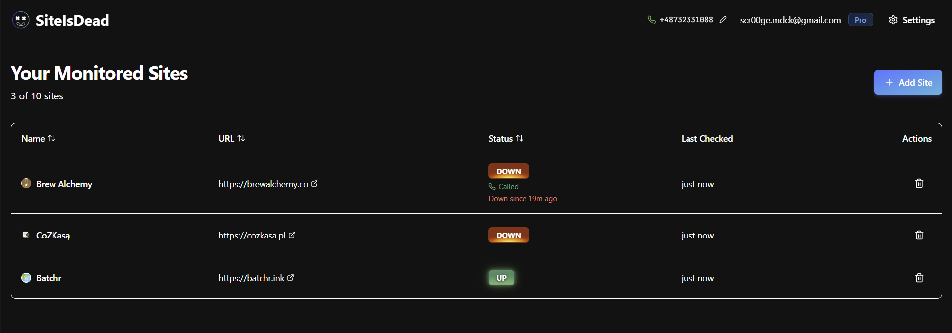 SiteIsDead.dev - Screenshot 3 showing product features and functionality