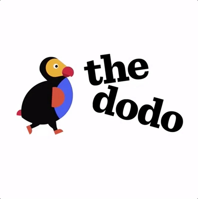 The Dodo