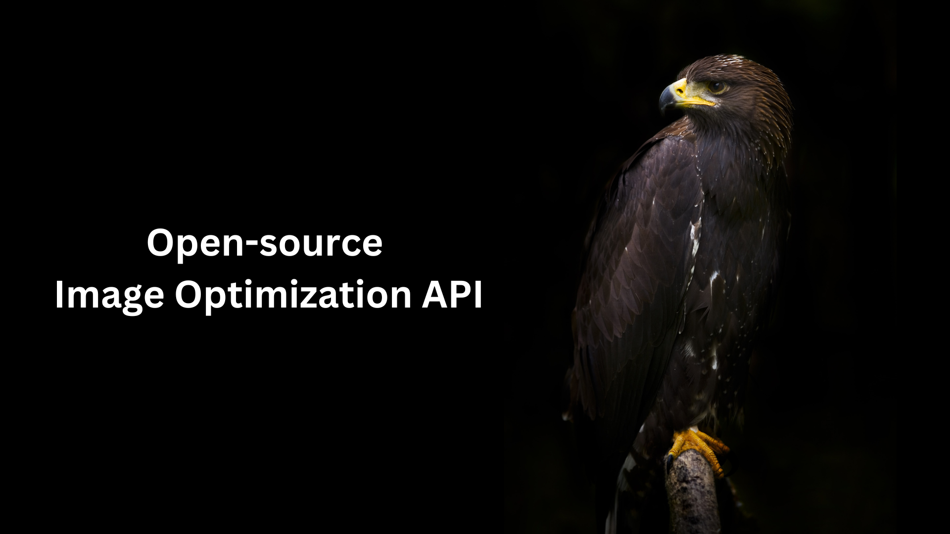Media API Imej Eagle 2
