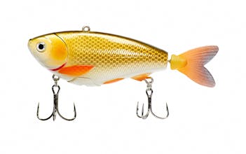 eMinnow gallery image