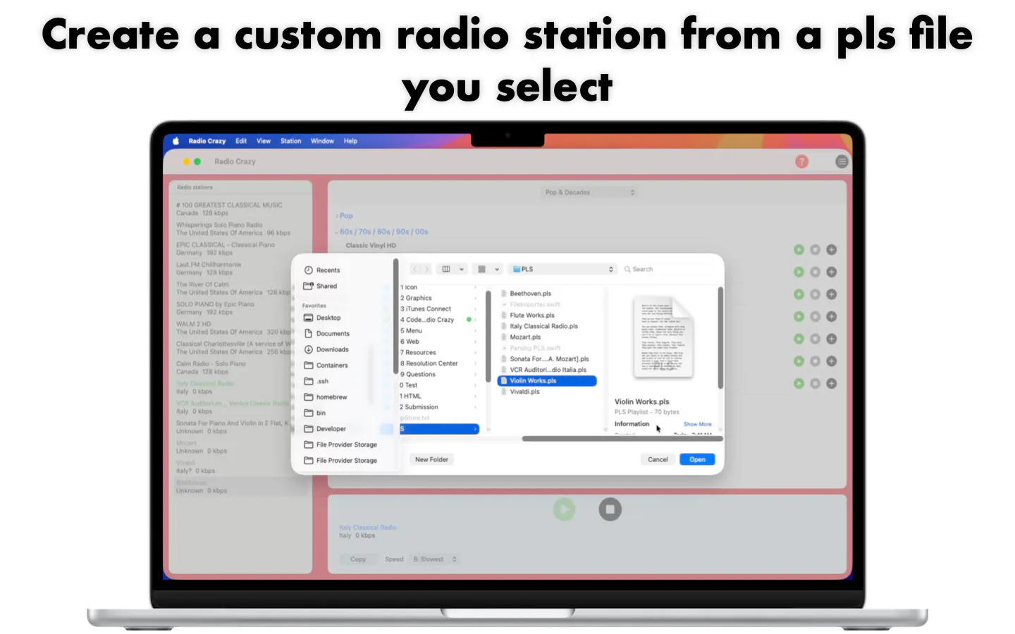 Radio Crazy - Stream Music gallery image