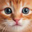 Purrfluencer