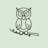 HealthyOwl