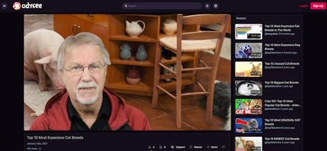 Odysee gallery image