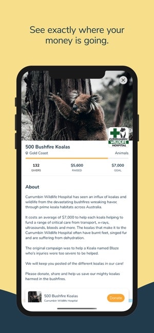 Little Phil gallery image