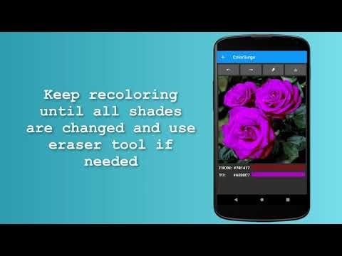 ColorSurge - Recolor photos gallery image