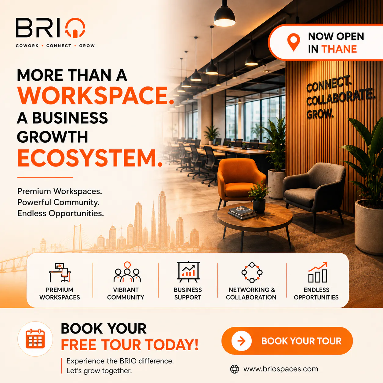 BRIO gallery image
