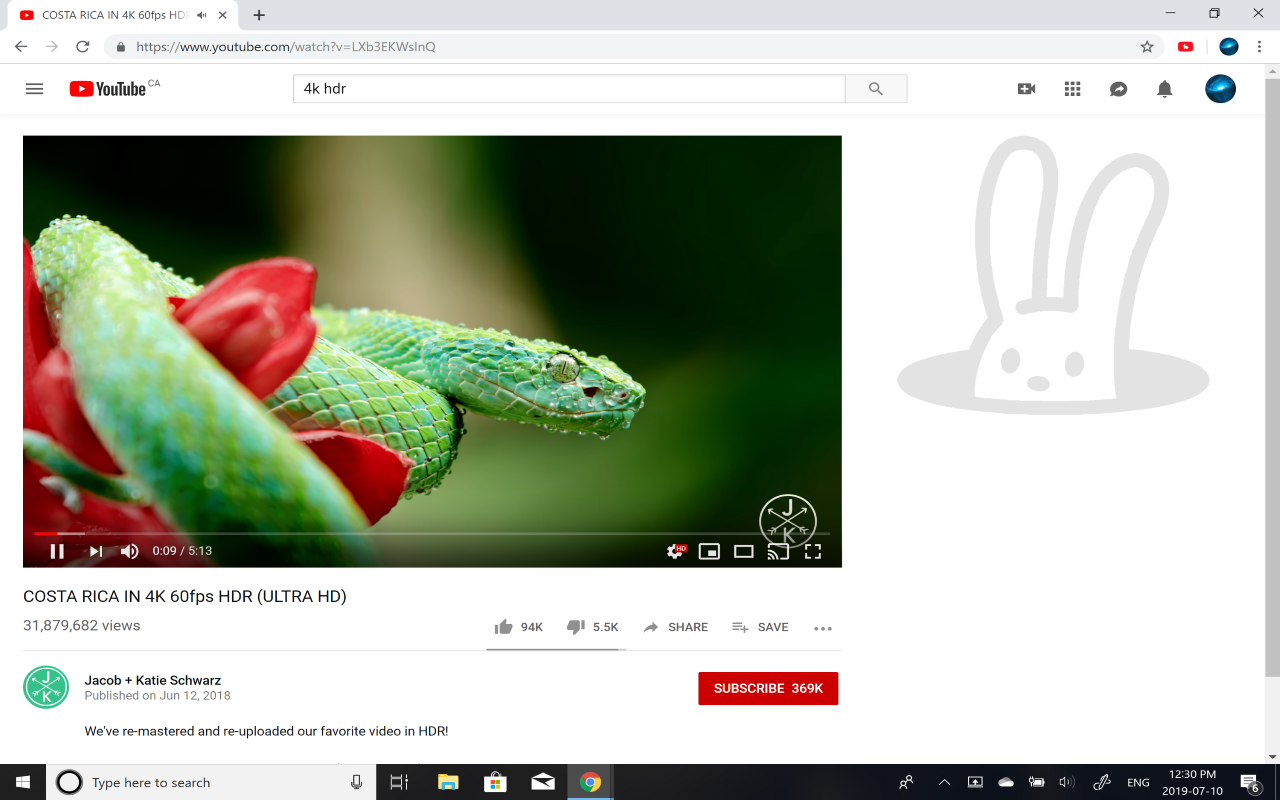 YouTube Rabbit Hole Image