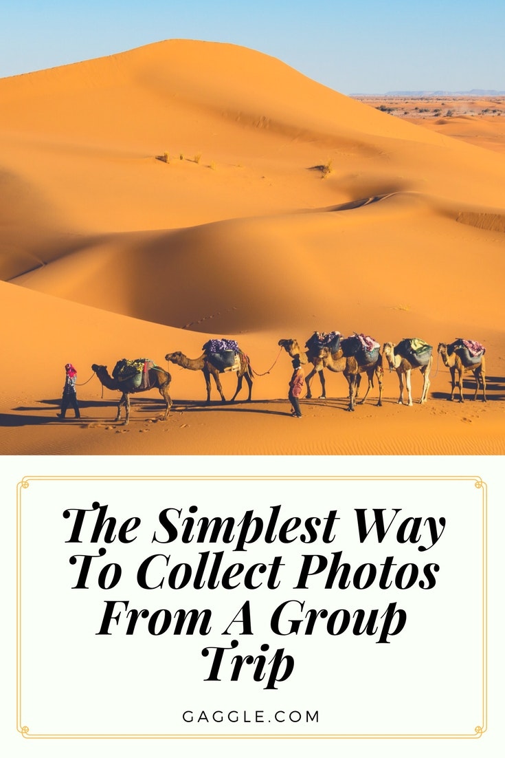 Gaggle gallery image