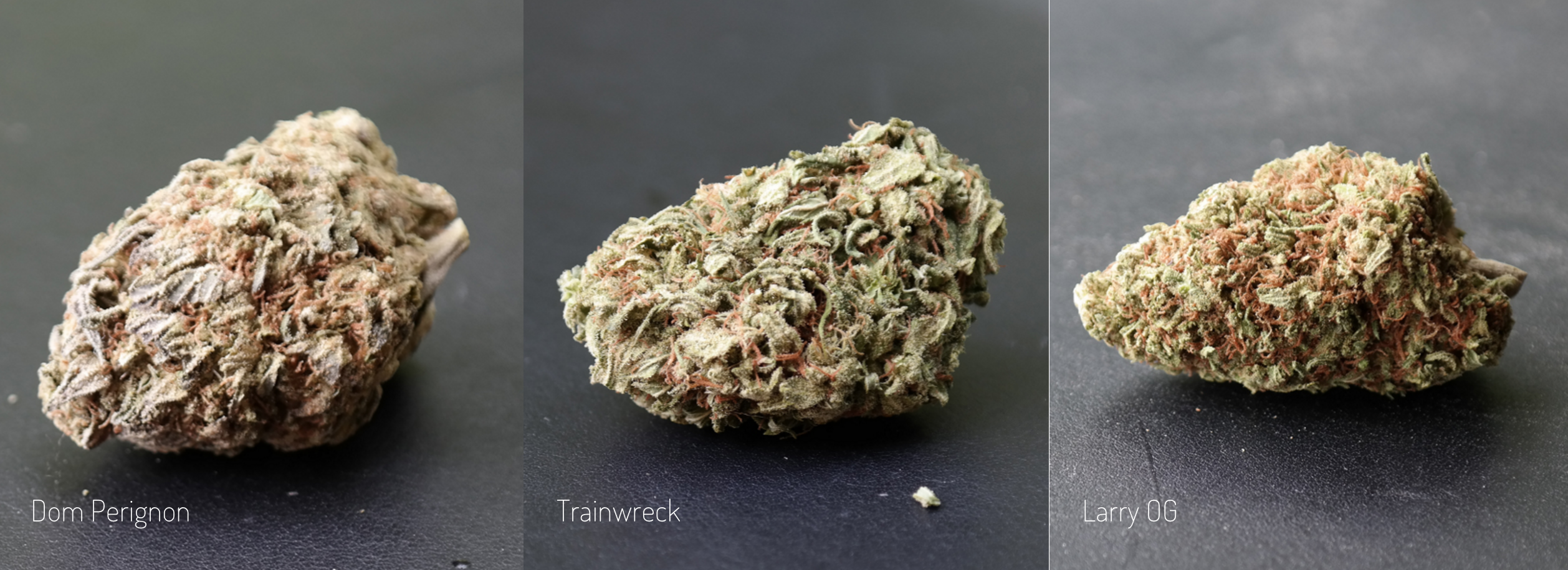 Text Mary gallery image