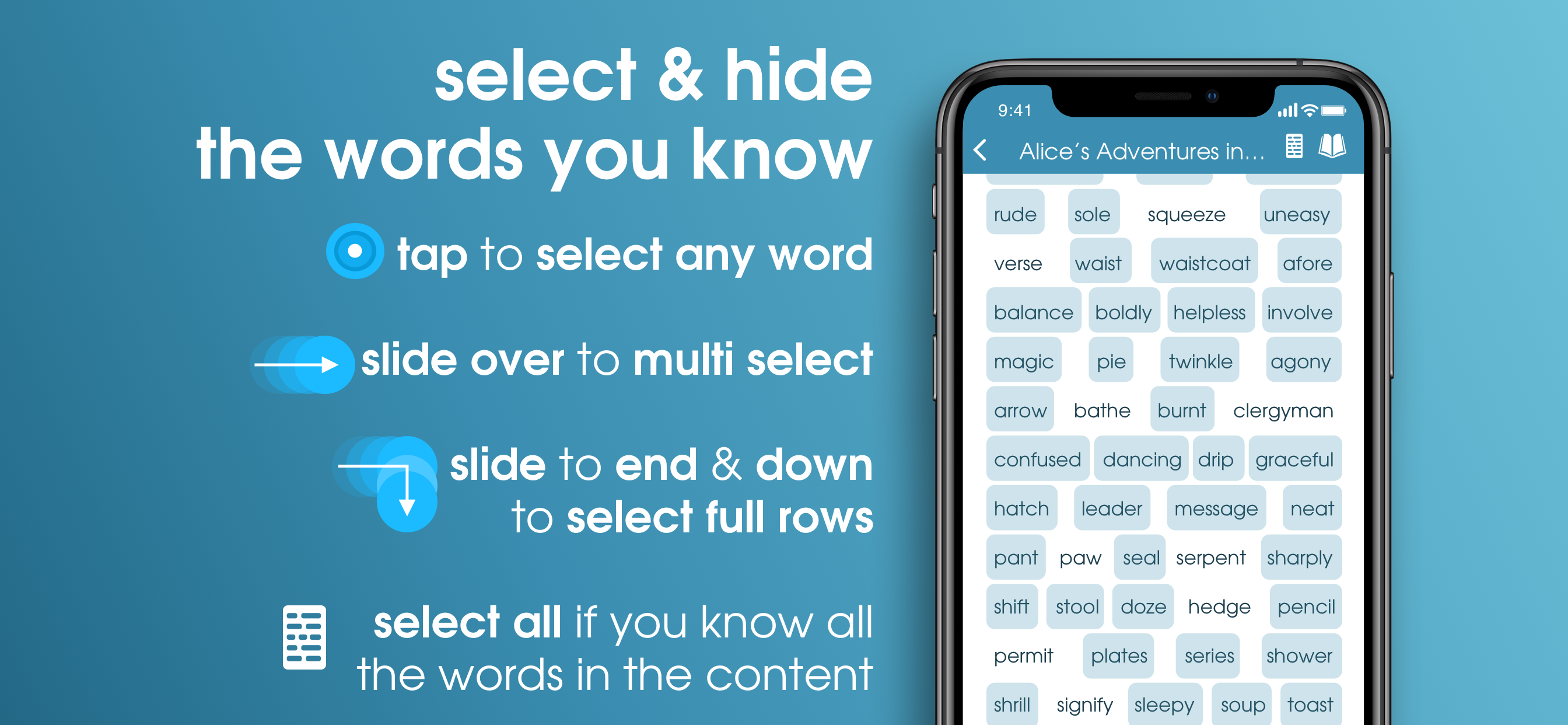 Vocalibrary gallery image