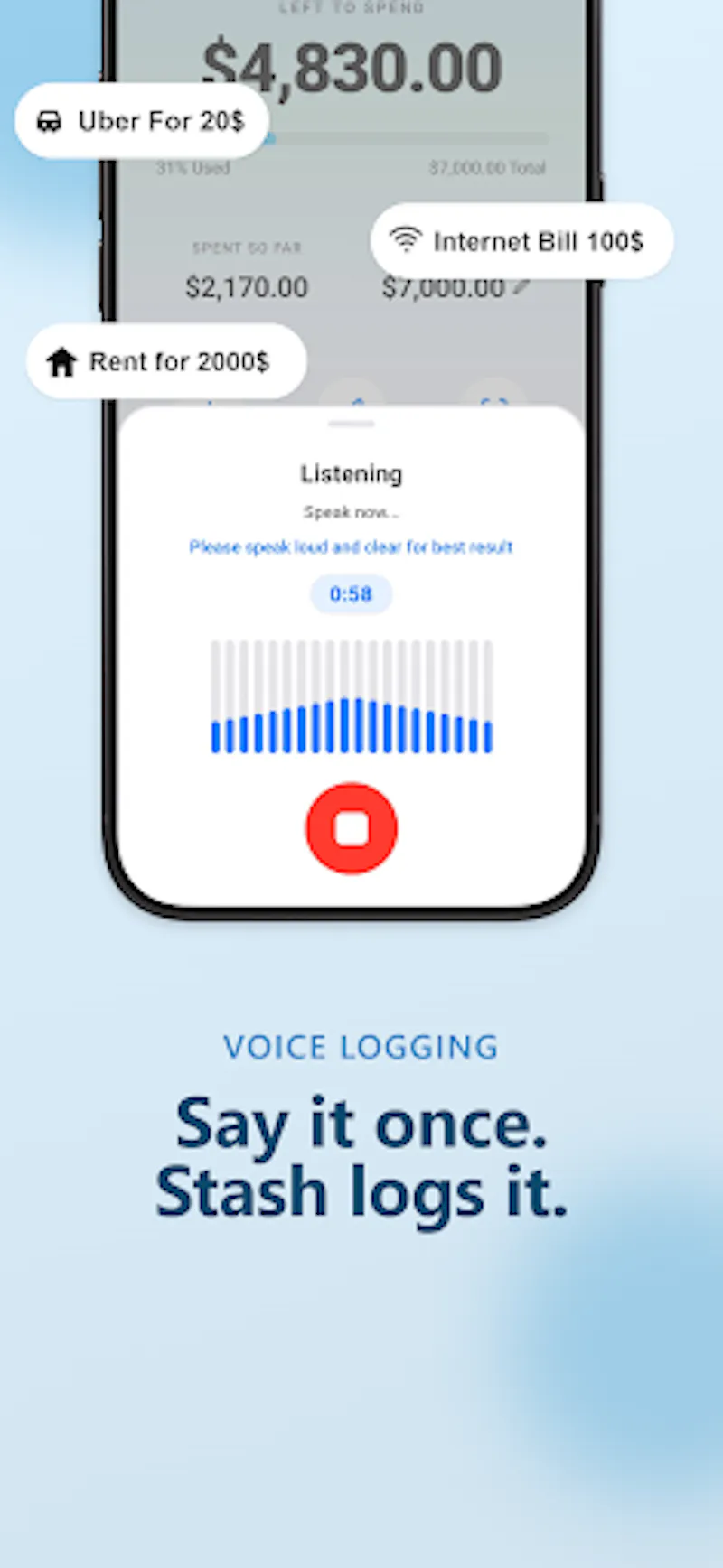 Stash: Voice Expense Tracker screenshot 2