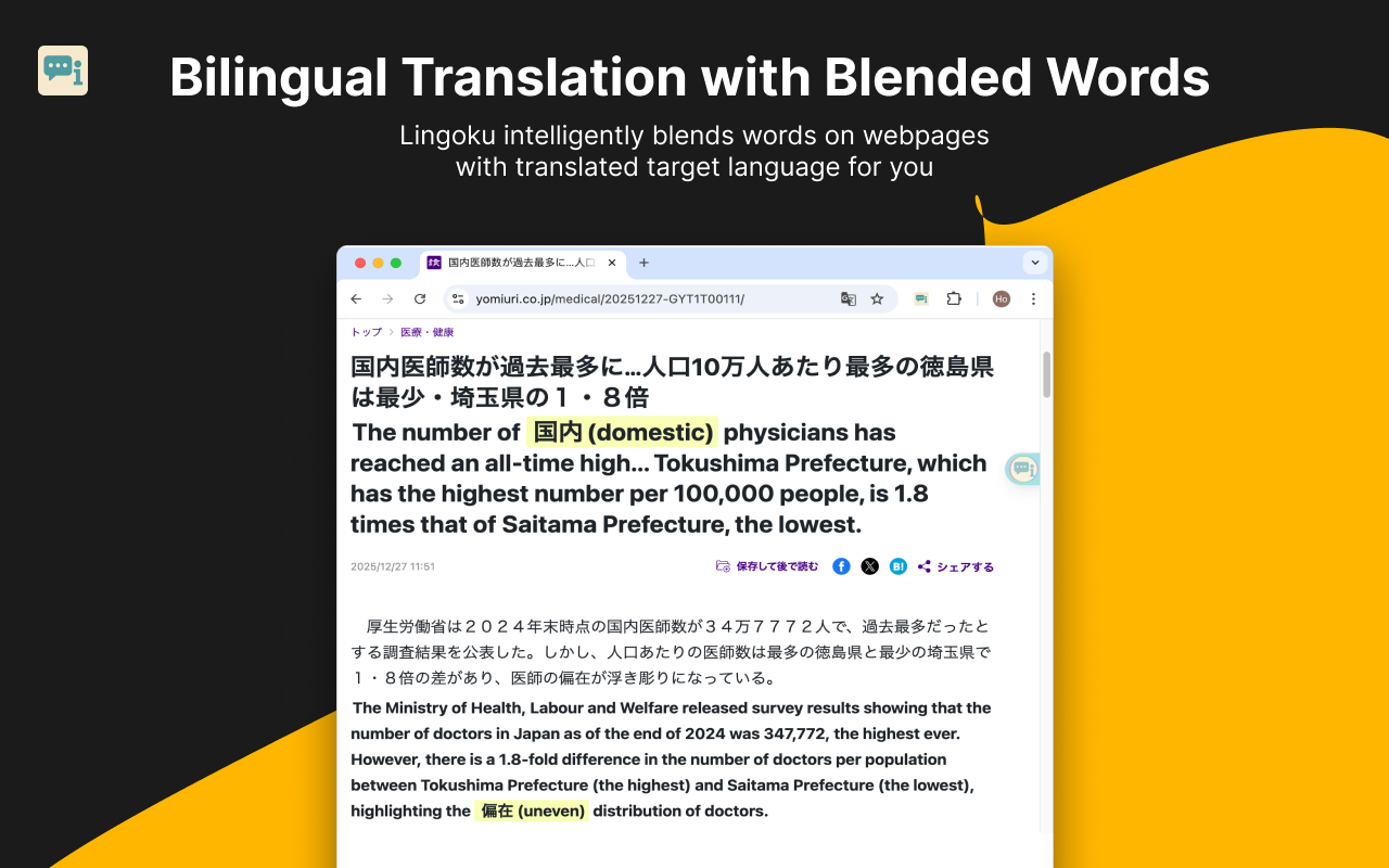 Lingoku gallery image