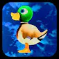 Duckling - Save The River Duck