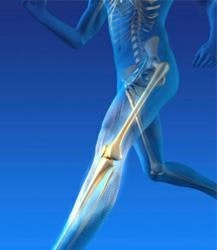 Premier Orthopedic Solutions Inc.