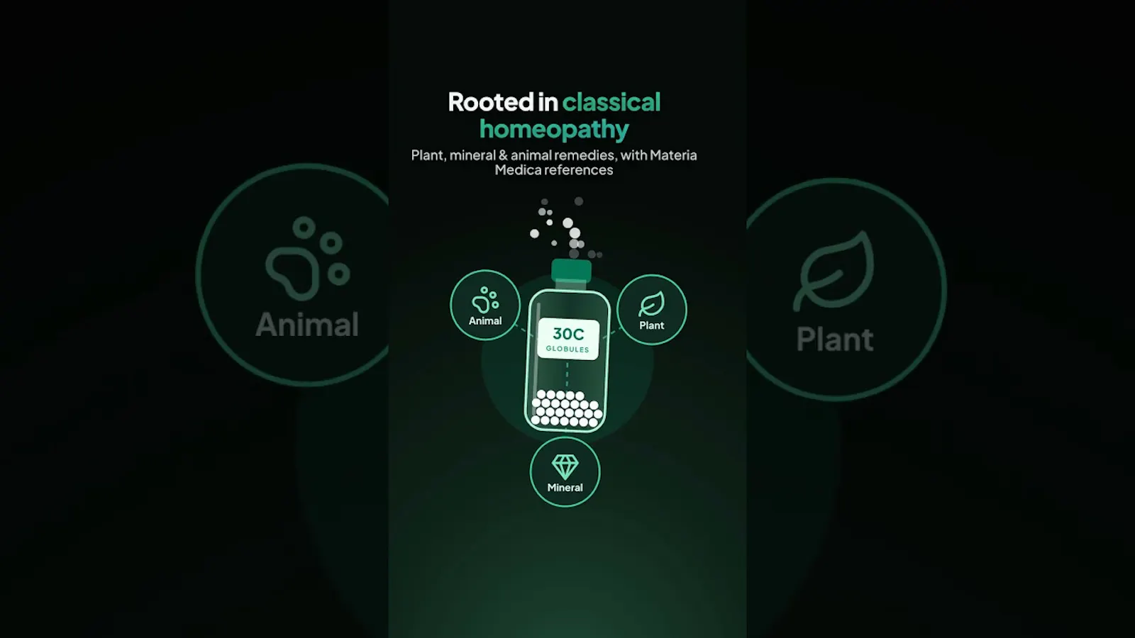 HomeoAI screenshot 1 (video preview)