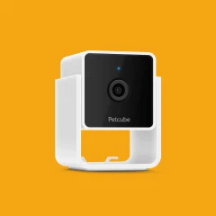 Petcube Cam