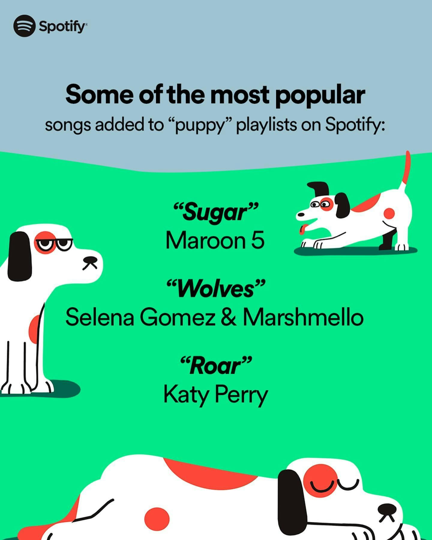 Pet Playlists by Spotify gallery image