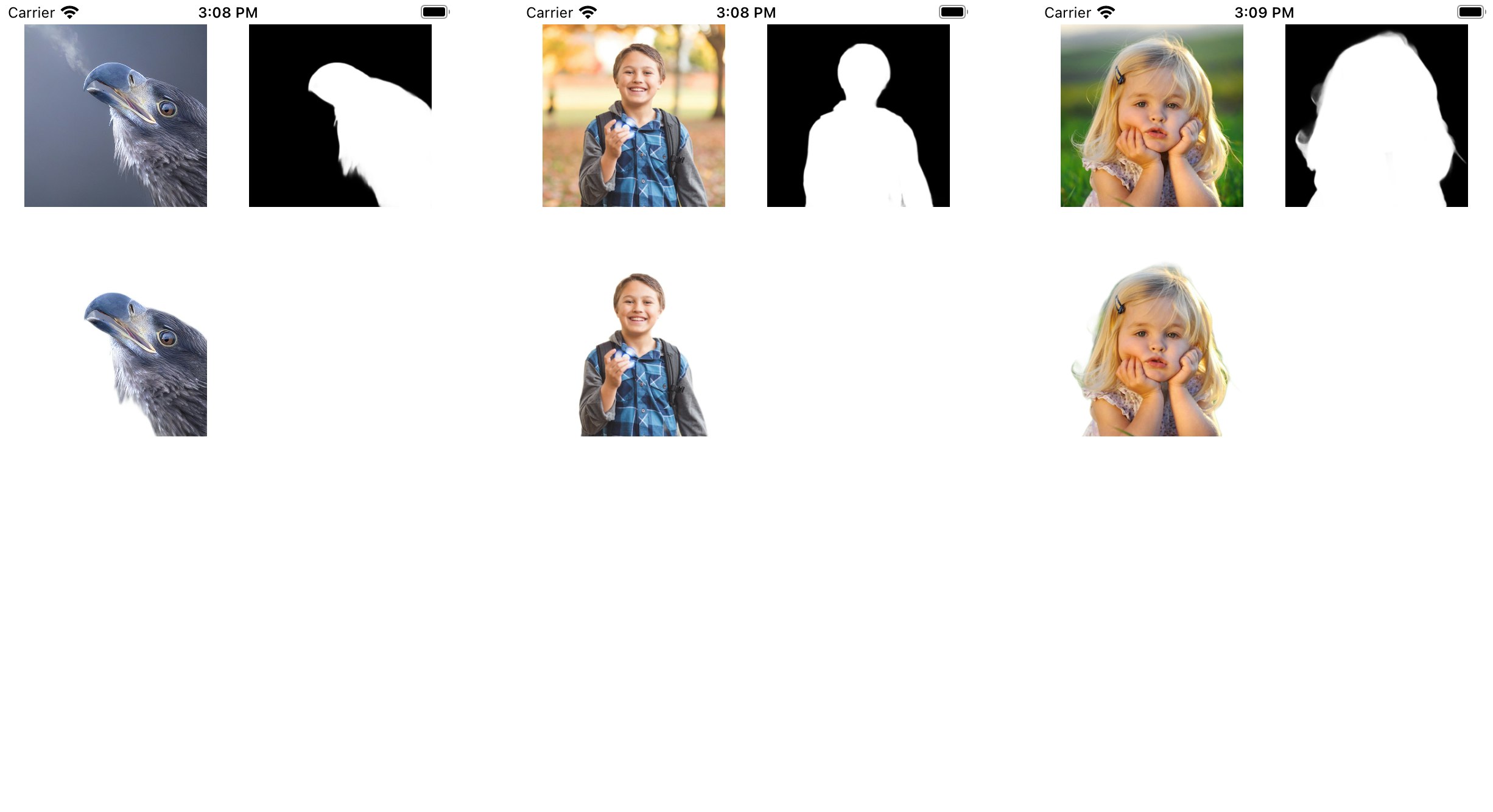 iOS background removal library gallery image