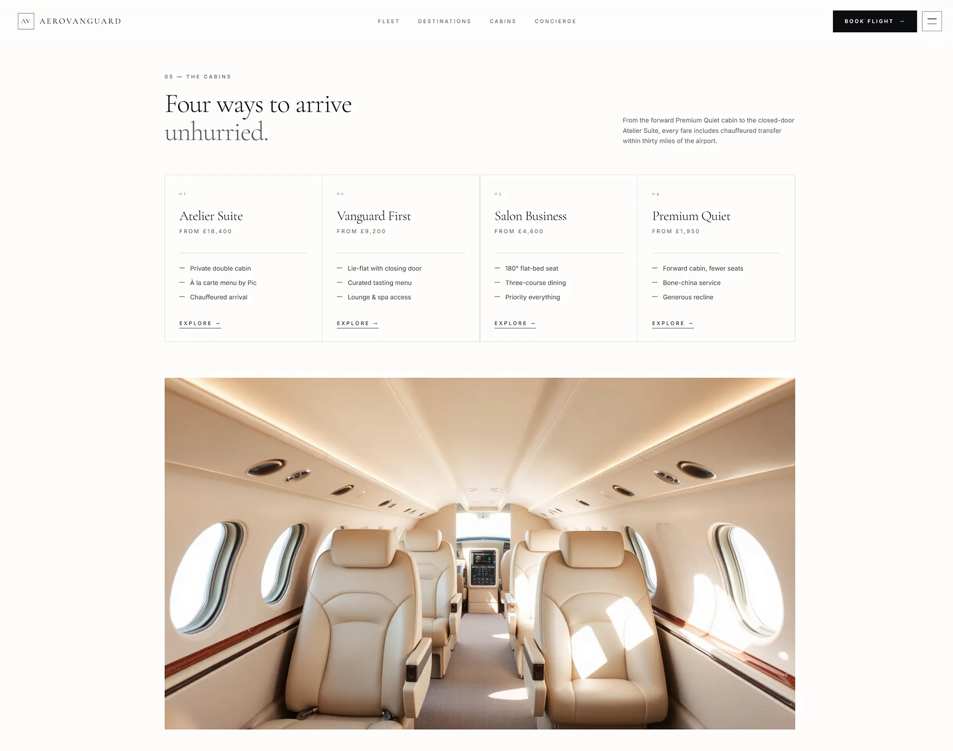 AeroVanguard — The Art of Flight gallery image