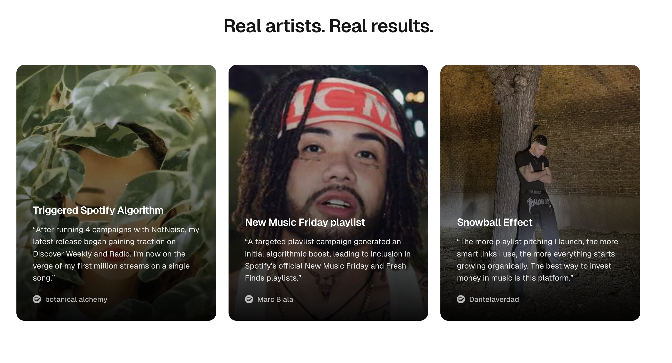 NotNoise gallery image