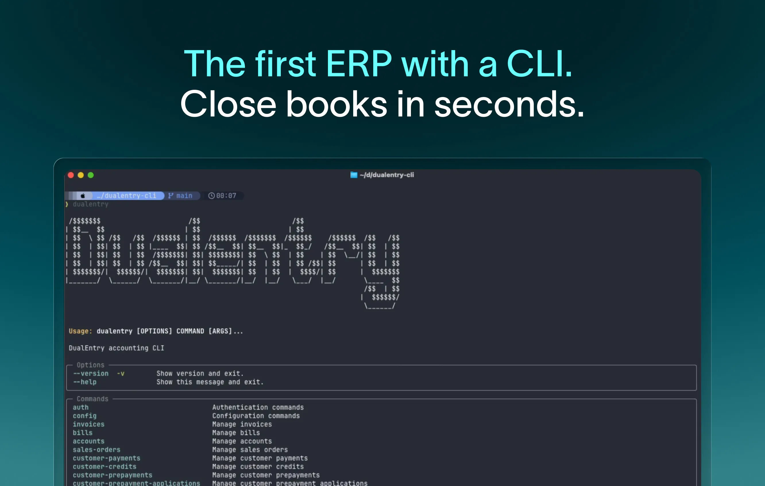 DualEntry CLI 项目横幅