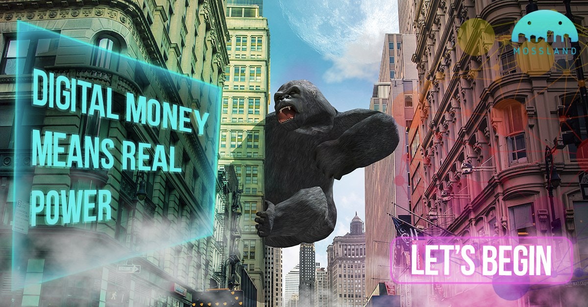 Mossland gallery image