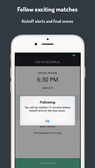 The Beautiful Game gallery image