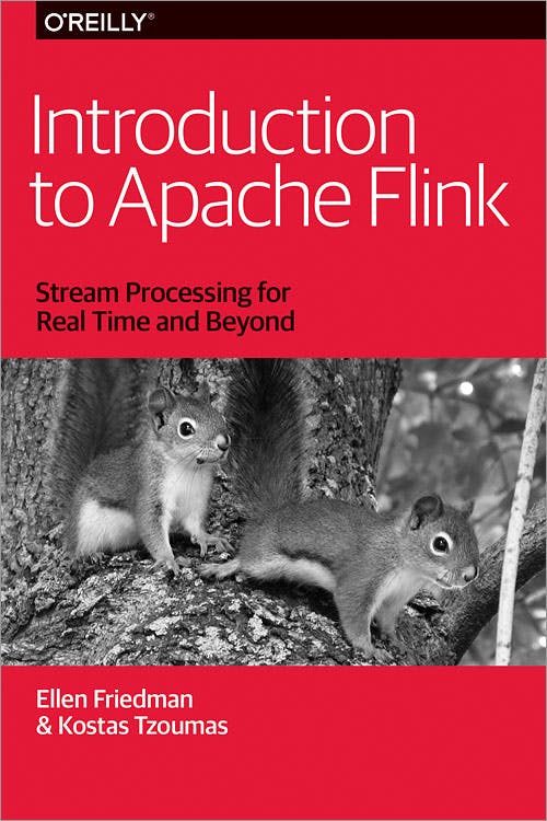 Introduction to Apache Flink media 1