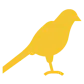 UpdateCanary.com