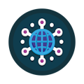 Website Metadata