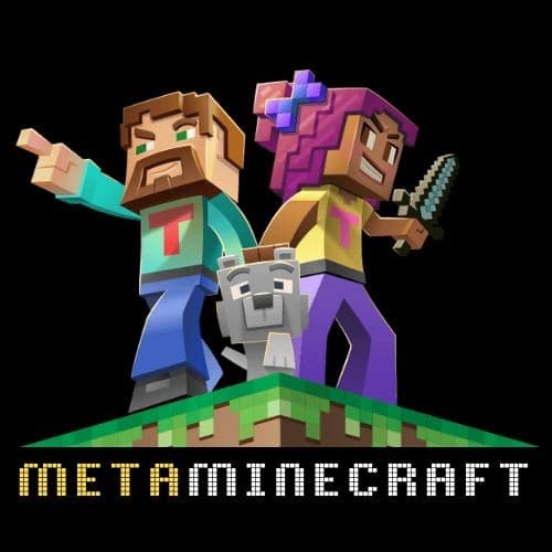 METAMINECRAFT gallery image