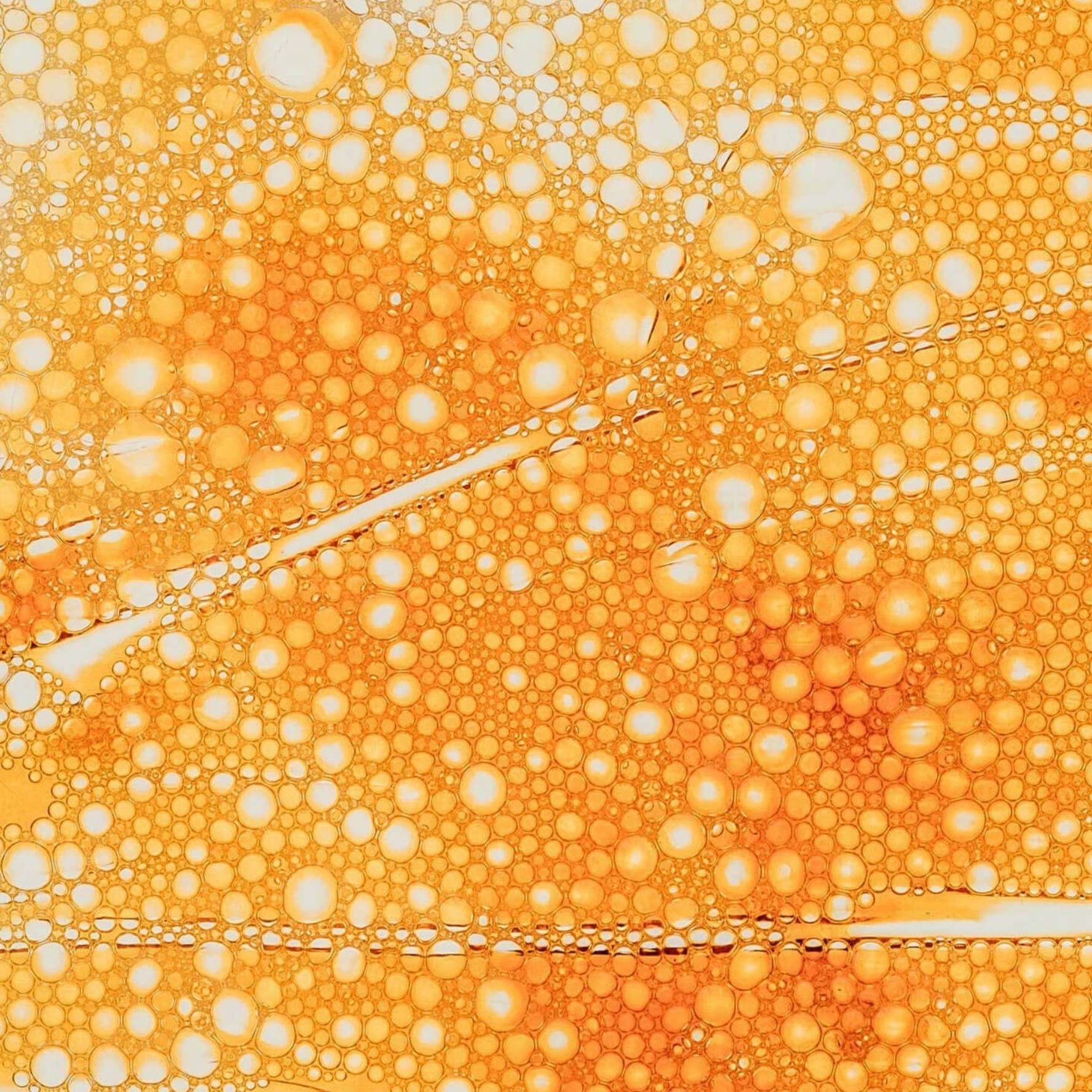 The Wonder gallery image