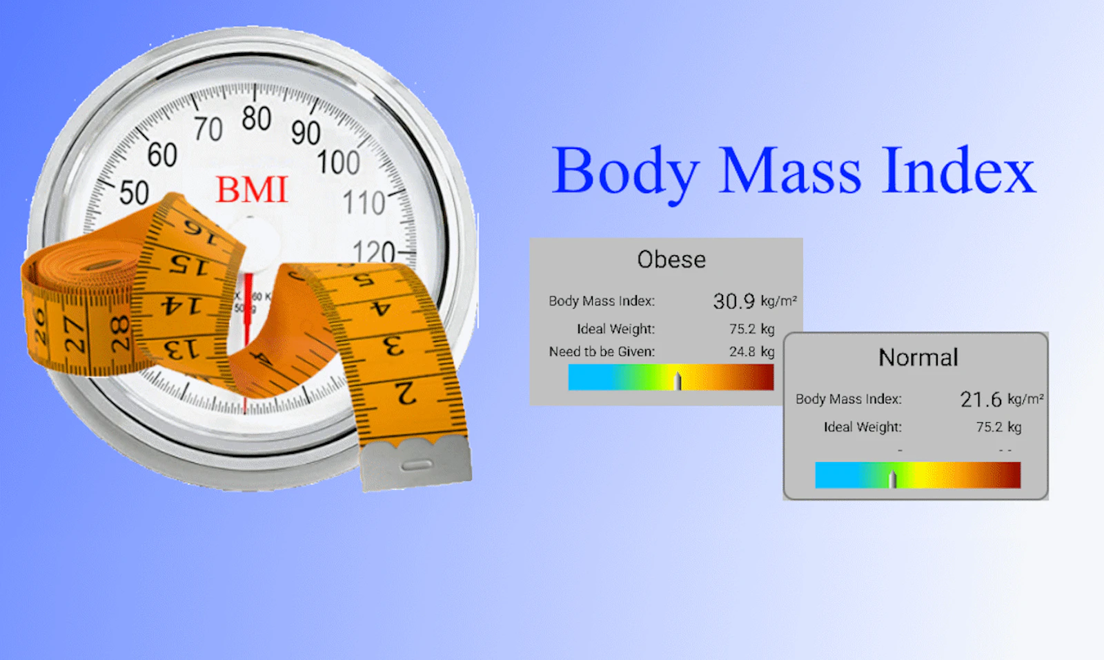 BMI screenshot 2