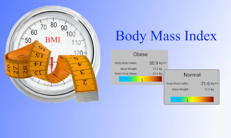 BMI screenshot 2