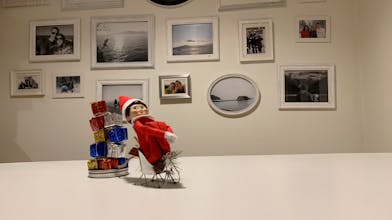 Catch Elf Move gallery image