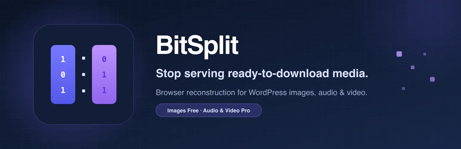 BitSplit Media Delivery gallery image