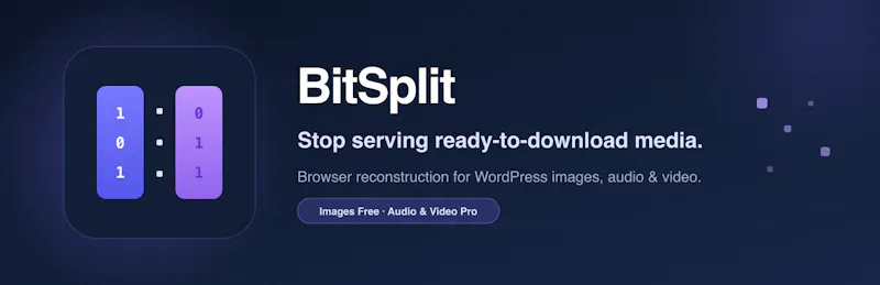 BitSplit Media Delivery screenshot 1