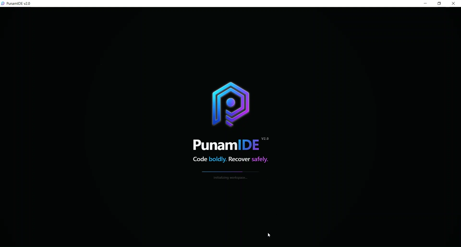 PunamIDE gallery image
