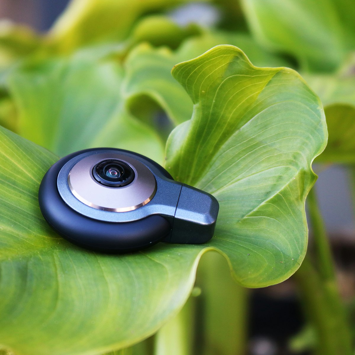 LyfieEye200 gallery image