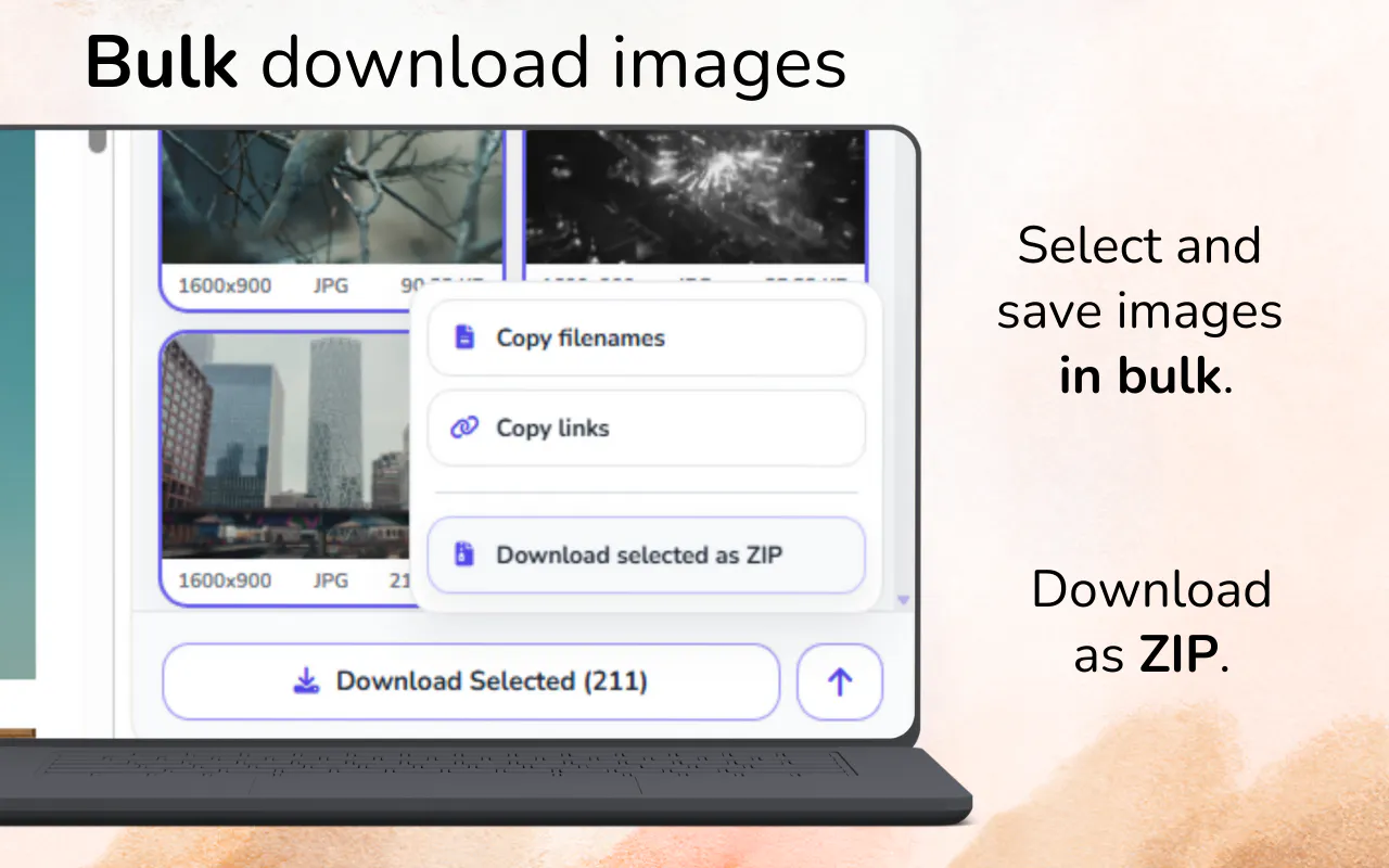 Image Downloader Pro gallery image