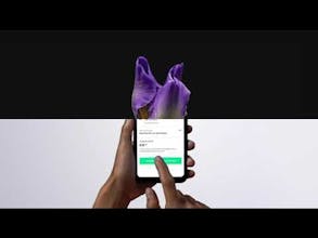 Melio Payments gallery image