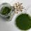 DIY fragrant moss kit
