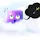 Iconosquare