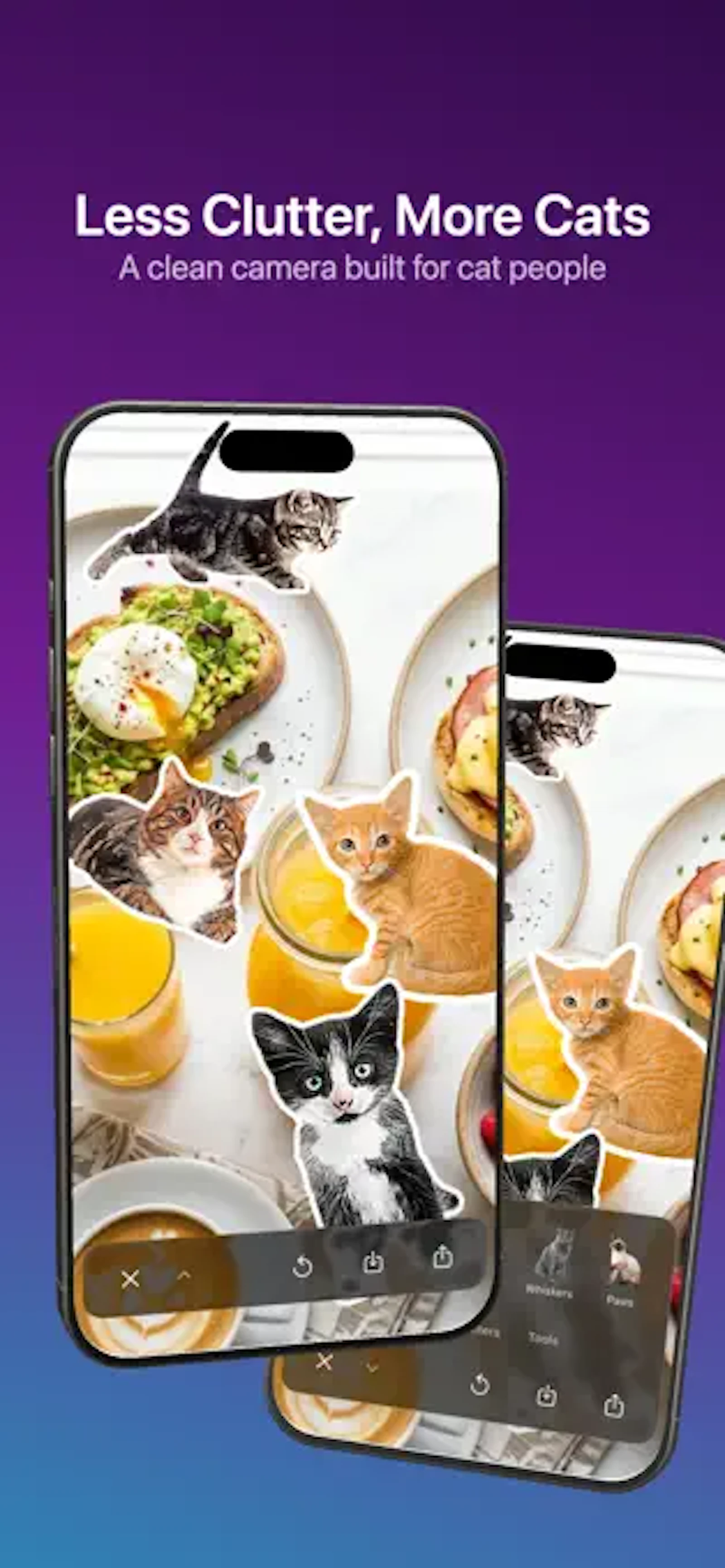 Caticker - Cat Photo Stickers screenshot 3