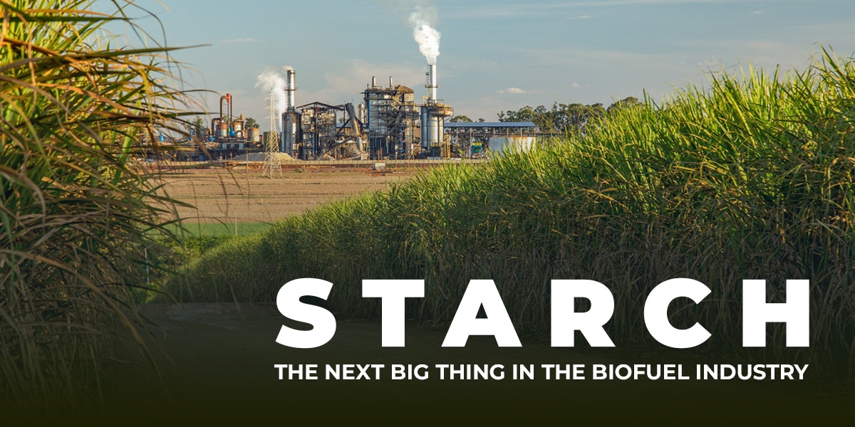 Starch: in the Biofuel Industry