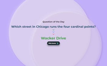 Social AI Next gallery image